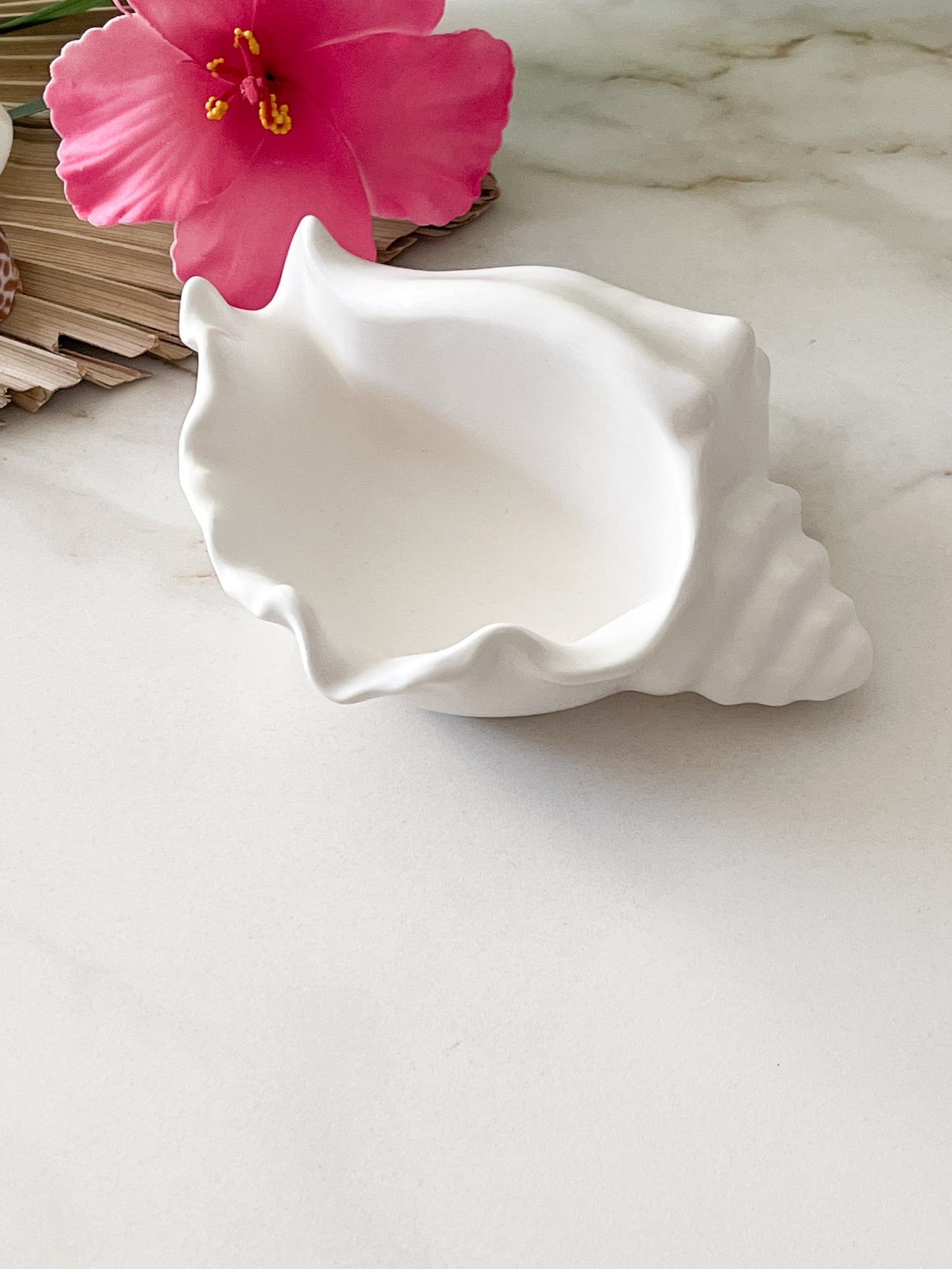 Coastal Conch Decor Bowl🌴