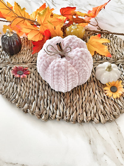 The Crochet Pumpkin Pair 🎃
