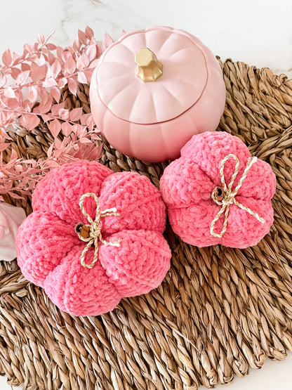 The Crochet Pumpkin Pair 🎃
