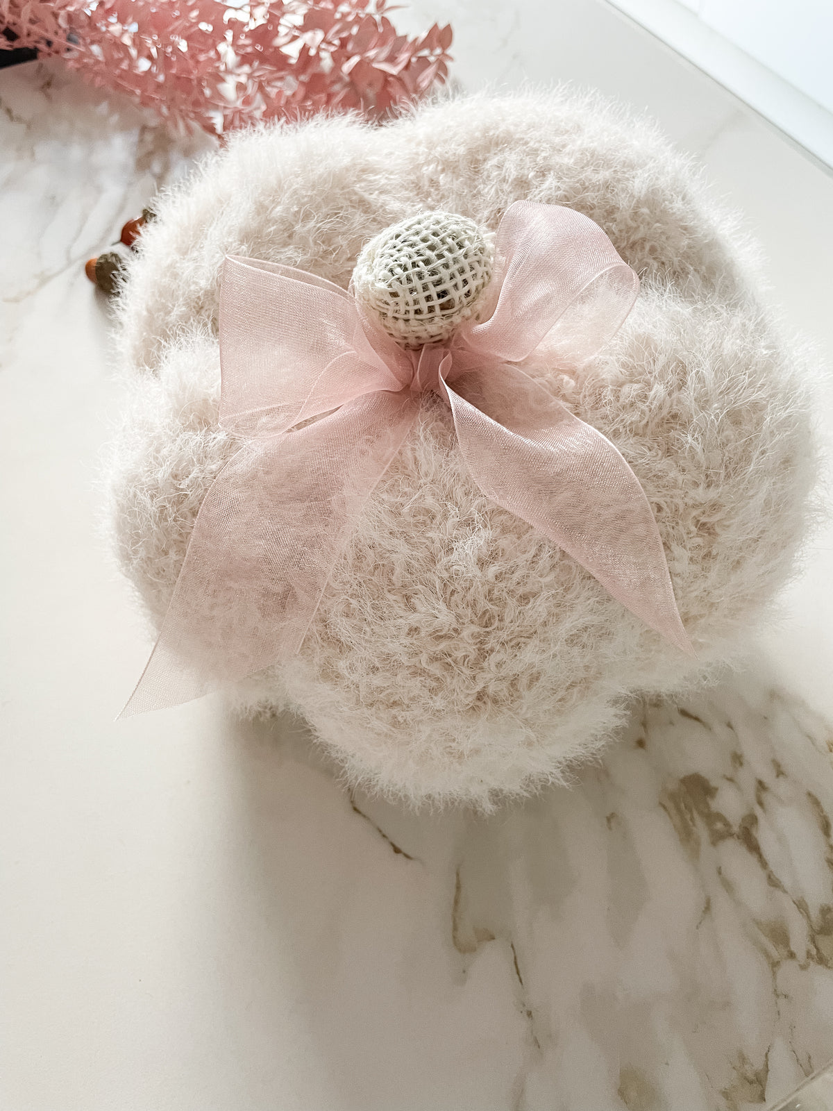 The Teddy Pumpkin ✨