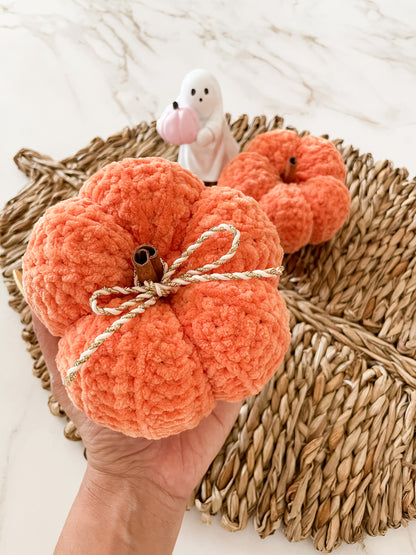 The Crochet Pumpkin Pair 🎃
