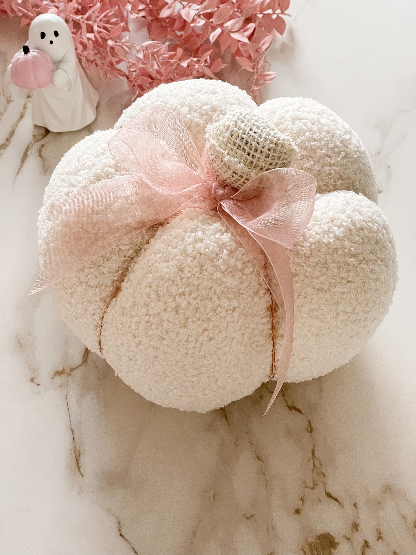 The Teddy Pumpkin ✨