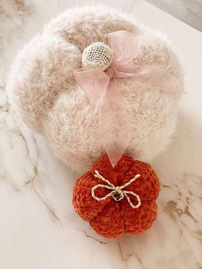 The Teddy Pumpkin ✨