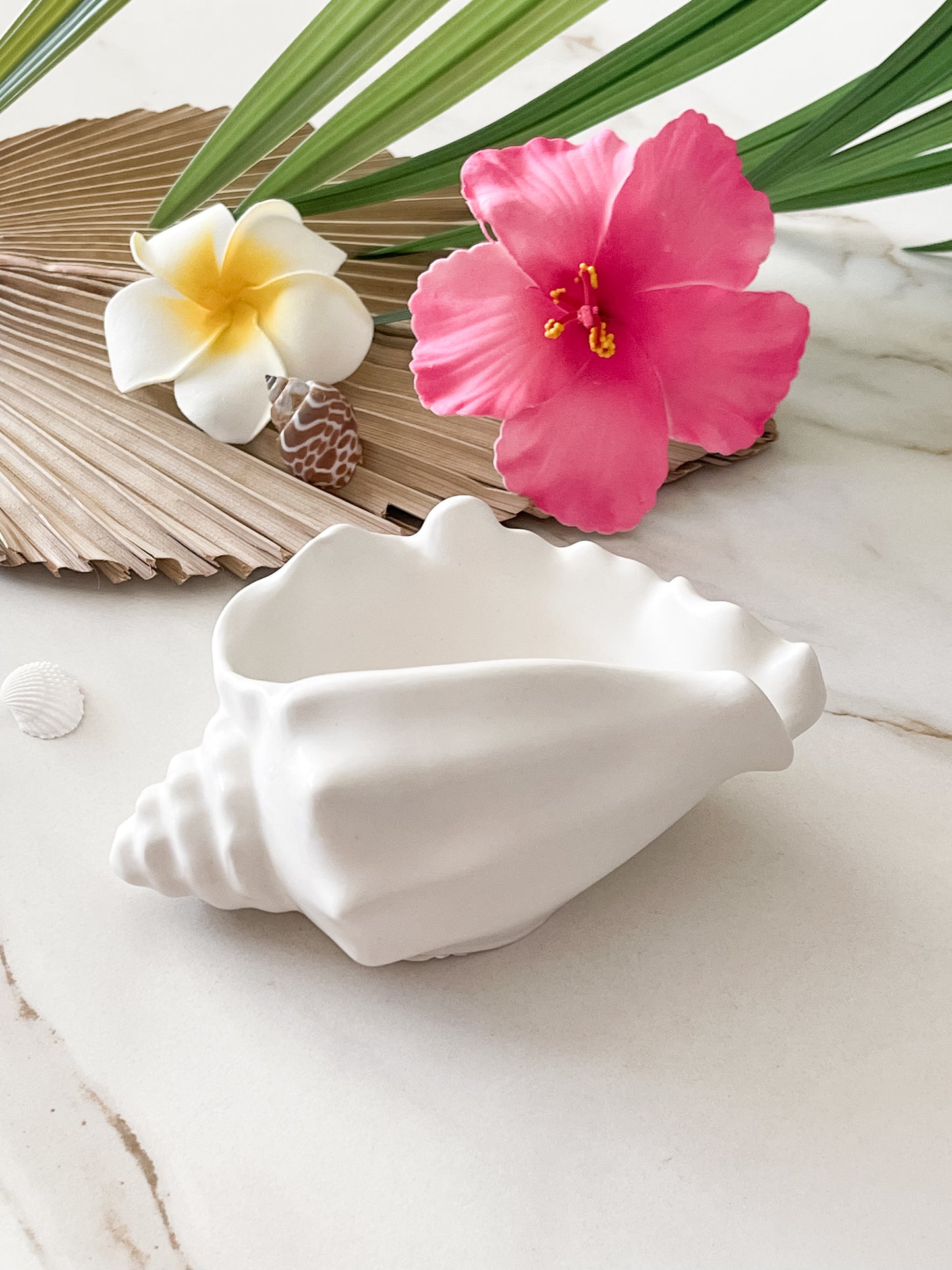 Coastal Conch Decor Bowl🌴