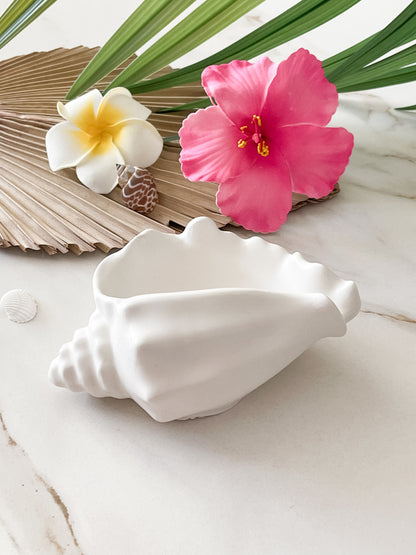 Coastal Conch Decor Bowl🌴
